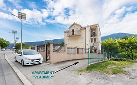 Apartment Vladimir